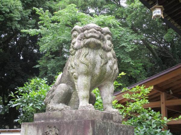 神社でデトックス！　心と体をきれいにする「夏越の大祓」とは