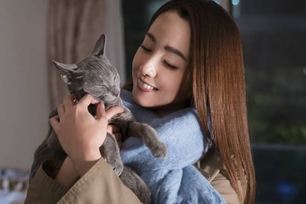 映画『猫は抱くもの』感想。ありふれた日常が色鮮やかに輝きはじめる“猫映画”の決定版！