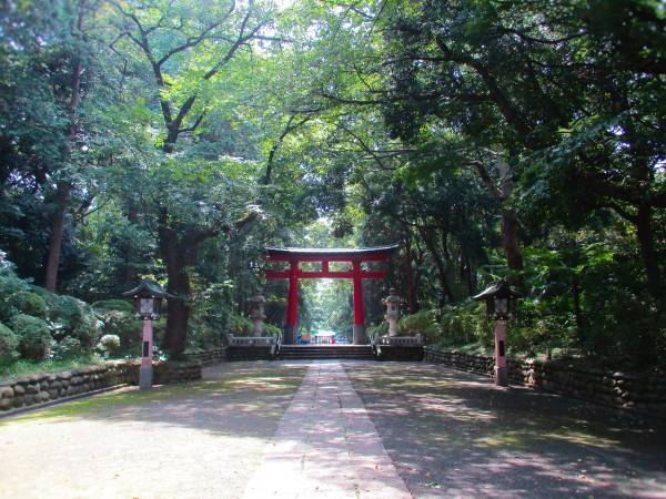 子育てと厄除けの八幡さま「大宮八幡宮」【巫女ライターの神社と御朱印めぐり＃３】