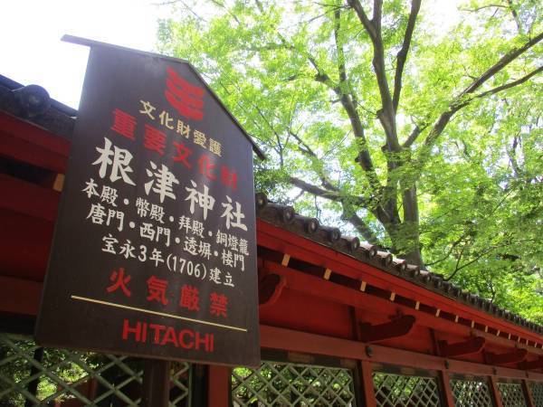長い歴史とロマンが宿る「根津神社」【巫女ライターの神社と御朱印めぐり＃４】