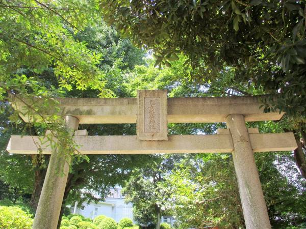 長い歴史とロマンが宿る「根津神社」【巫女ライターの神社と御朱印めぐり＃４】