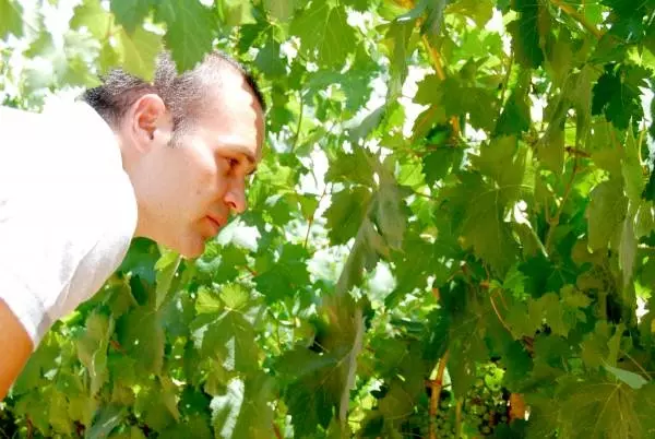 %e3%82%a4%e3%83%8b%e3%82%a8%e3%82%b9%e3%82%bf5