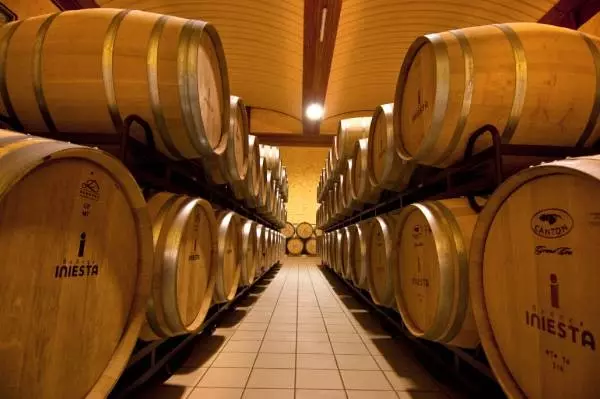 %e3%82%a4%e3%83%8b%e3%82%a8%e3%82%b9%e3%82%bf6