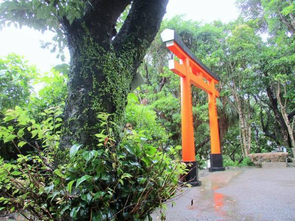 巫女が教える「御守り」の役割！　取り扱い方法・持ち歩き方のお話