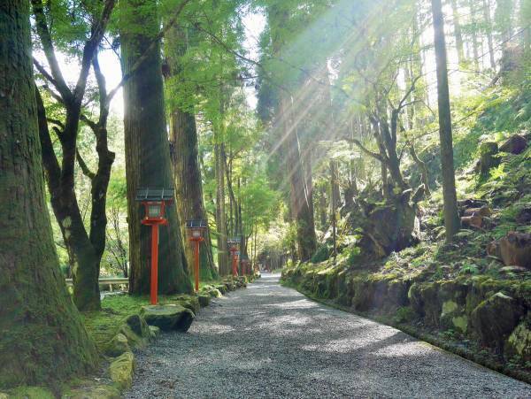 巫女が教える「御守り」の役割！　取り扱い方法・持ち歩き方のお話