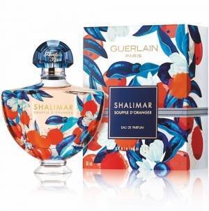 2019年12月発売のコスメをチェック！【今月の「推しコス暦」】