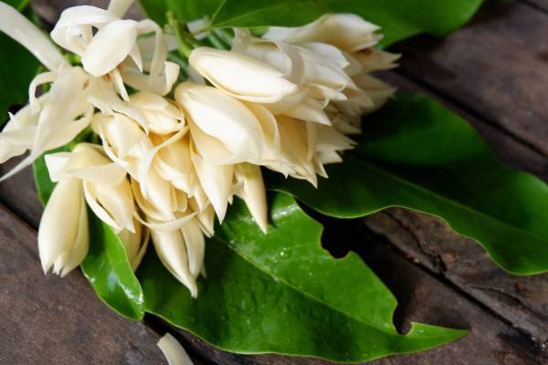 香りをまとうことは、ナチュラルメイクと似ている。