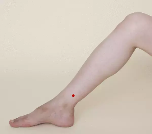 年齢は関係ない。いつからでも、誰でも、美女になれる。