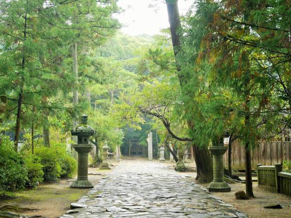 初詣だけじゃない！　人生の中で私たちが神社に行くべき理由とは？