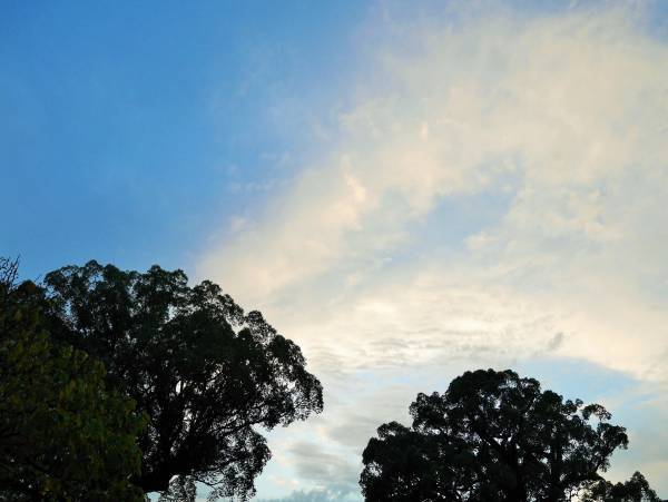 初詣だけじゃない！　人生の中で私たちが神社に行くべき理由とは？