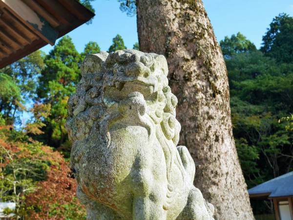 初詣だけじゃない！　人生の中で私たちが神社に行くべき理由とは？