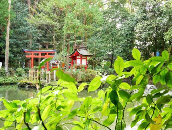 初詣だけじゃない！　人生の中で私たちが神社に行くべき理由とは？