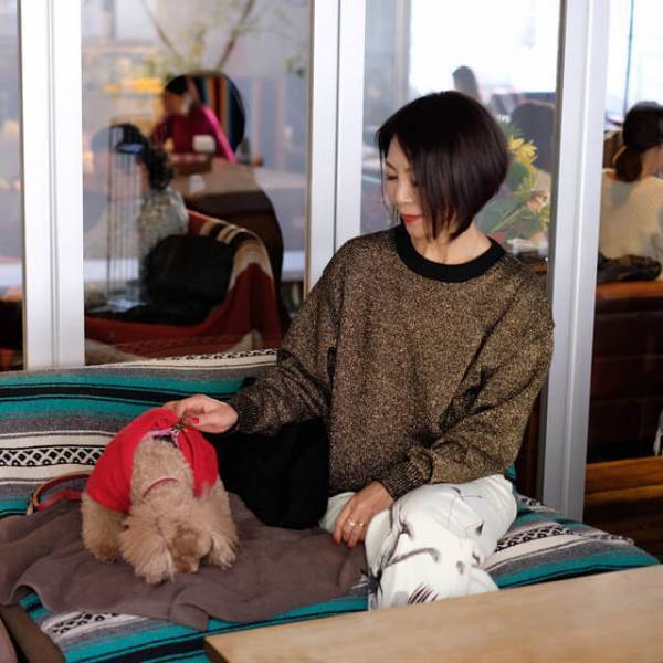 トレーナー型ゆるニット投入で、いつものスタイリングをモードに変える