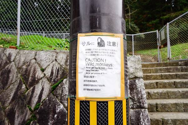 「美人祈願」で有名な京都のスポットめぐり 美の神を追いかける旅