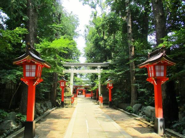 「おみくじ」は吉凶よりも「言葉」を読もう！ 基本の引き方・捉え方