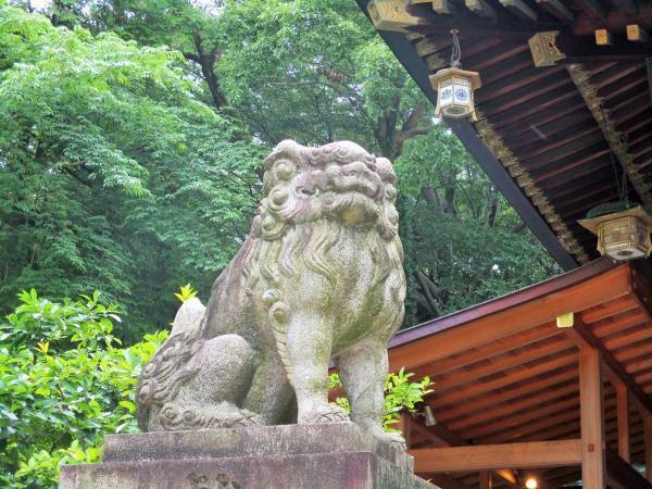 「おみくじ」は吉凶よりも「言葉」を読もう！ 基本の引き方・捉え方