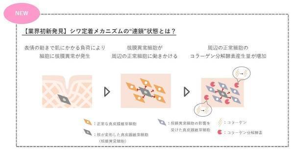 シワの連鎖を断つべく進化！ コク感・密着感・ハリ感をもたらすオルビスのリンクルブライトセラムが誕生