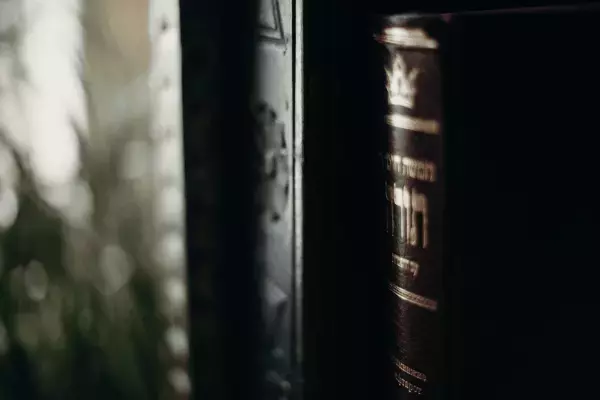 現代語で親しむ私のお守り本［古典 / 名文学］【TheBookNook #20】