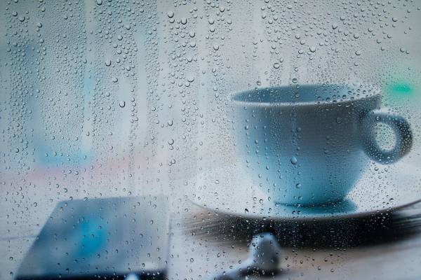 雨の日に酔いたい【TheBookNook #24】