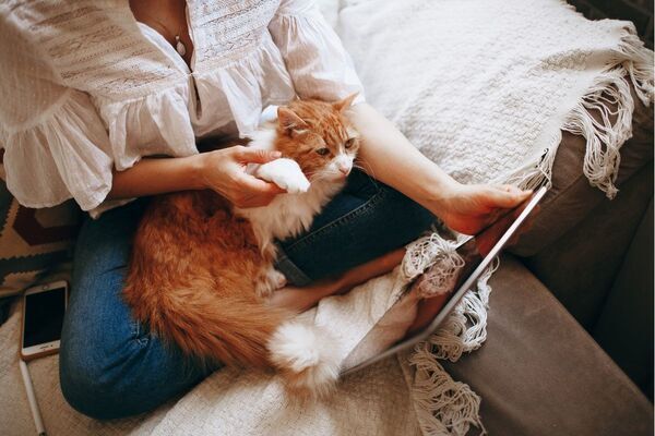 あなたをひとりにしない、おひとりさまエッセイ【TheBookNook #57】