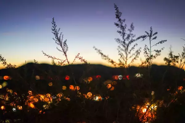 “柄にもなく”を求めて【TheBookNook #53】