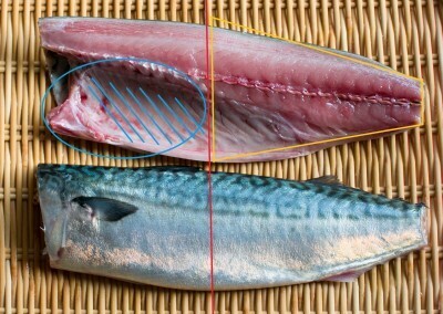 子どももきれいに完食！　大人でも苦手な魚の食べ方はこう教える！