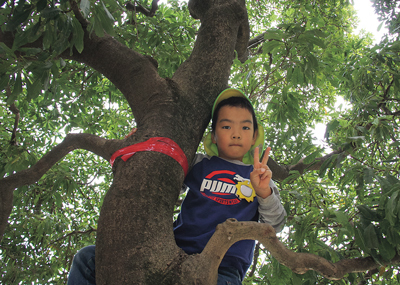 幼稚園での遊びは全て学びです!