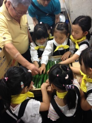 子どもの野菜嫌いを克服する！　家庭でできる５つのこと