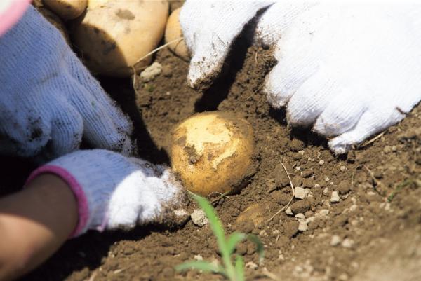 水・土・空気を親子で感じよう！自然体験レジャーでリフレッシュ！