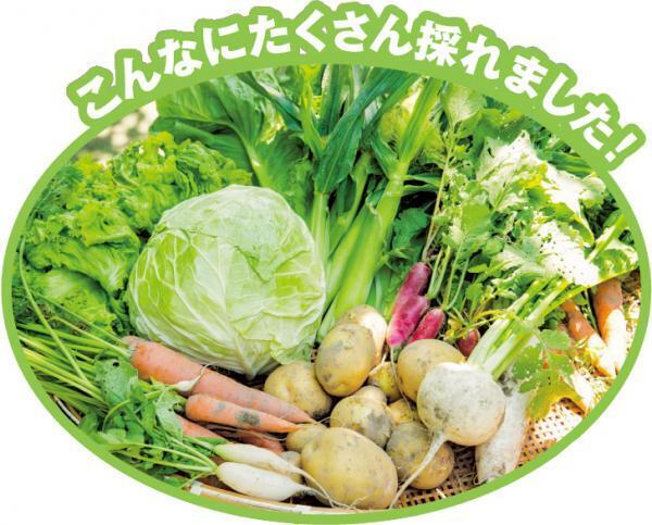 水・土・空気を親子で感じよう！自然体験レジャーでリフレッシュ！