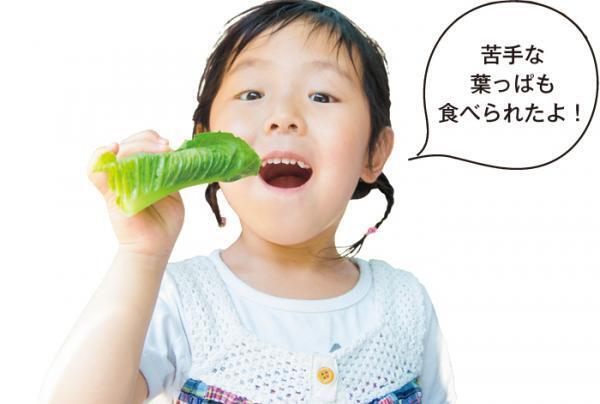 水・土・空気を親子で感じよう！自然体験レジャーでリフレッシュ！