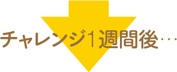 きょうだいげんかが劇的に変わる!