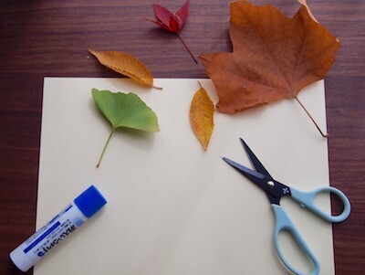 材料費ゼロ！子どもと一緒に落ち葉で「アート」を作ってみよう！