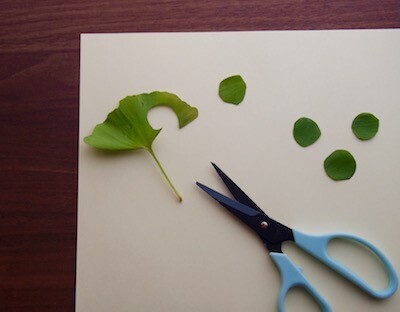 材料費ゼロ！子どもと一緒に落ち葉で「アート」を作ってみよう！