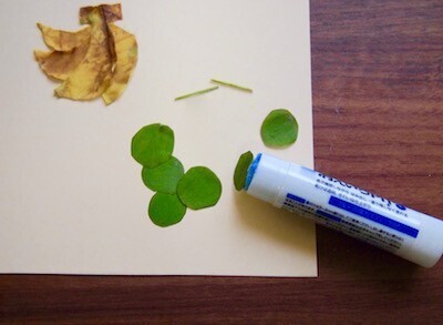 材料費ゼロ！子どもと一緒に落ち葉で「アート」を作ってみよう！