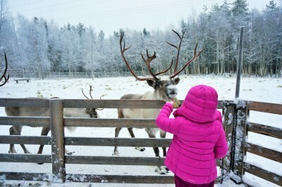 サンタさんに年中会える フィンランドのロヴァニエミ。子どもが小さいうちにぜひ！