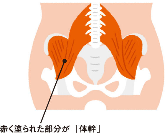 背筋を伸ばせば意欲も伸びる！ 鍛えてる？ 子供の体幹力