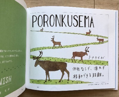 子どもとの会話が楽しくなる本！『翻訳できない世界のことば』『誰も知らない世界のことわざ』