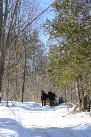 3～４月、カナダに行くならぜひ訪れたい！メープルシロップ収穫祭