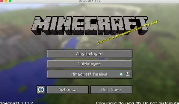 マインクラフトで小4男子のやる気と英語がぐんとアップ!? そのワケは？