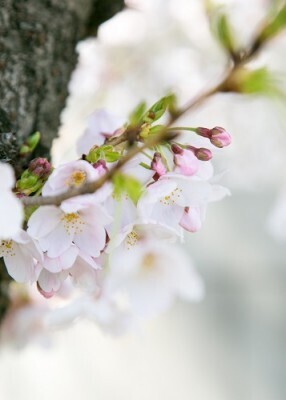 幼稚園選びは秋までが勝負！先輩ママに聞いた５つのチェックポイント