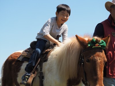 馬券を買わなくてもOK！川崎競馬場は子どもと無料で遊べる穴場スポット