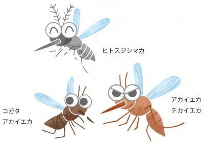 子どもの肌を守るため賢く対策！蚊に負けない夏にする！