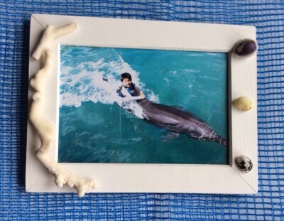 8月中旬からでも間に合う！先生ウケのいい小学校低学年の夏休み自由研究