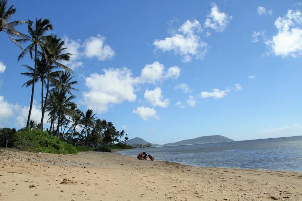 街全体がお祭り会場!?　ハロウィーンはハワイで過ごすのが楽しい！