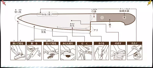 子どもの包丁デビューはいつが最適？　選び方・教え方は？