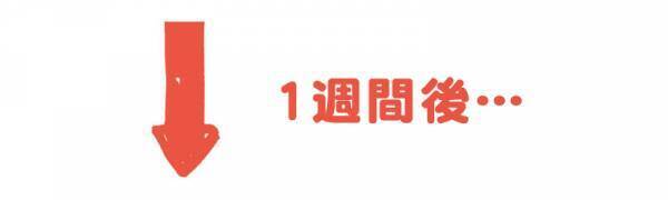 わが子の短所、どう直す？見直しの５つの心得