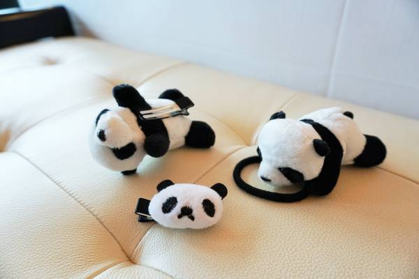 上野がムリなら成都！親子で行こうパンダづくしの旅