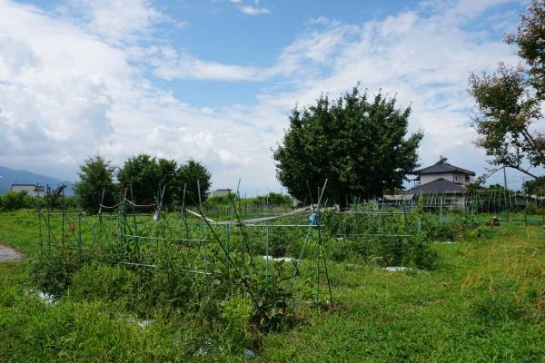 オーガニックは高い！だからナチュラルで？　子どもに”いい”ものを選ぶには