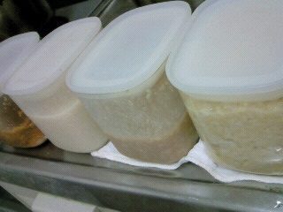 子どもと一緒に家庭の味を育ててみよう！自家製発酵食のすすめ